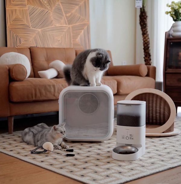Technology For Pets: Bringing Technology Into Their Lives!